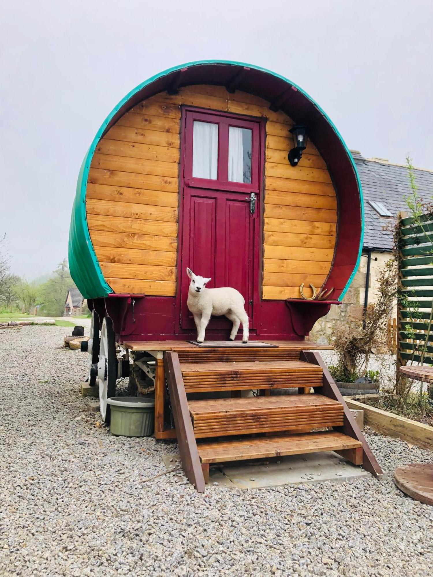 Bowtop Wagon At Lettoch Farm Keith Exterior foto